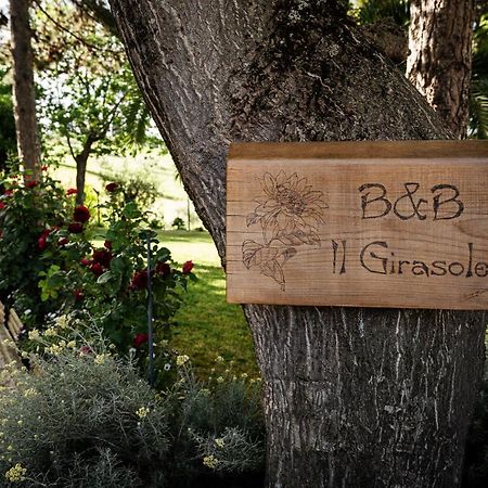 Il Girasole Bed & Breakfast Basciano Luaran gambar