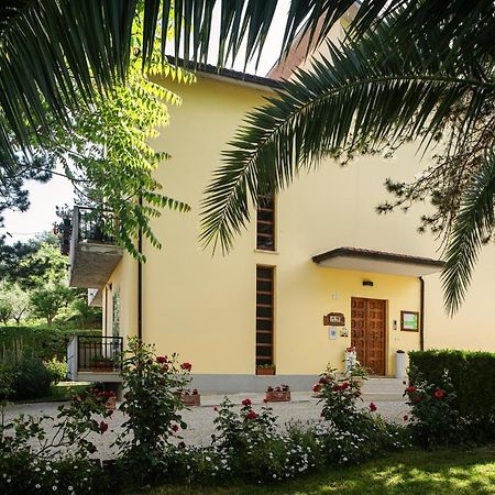 Il Girasole Bed & Breakfast Basciano Luaran gambar