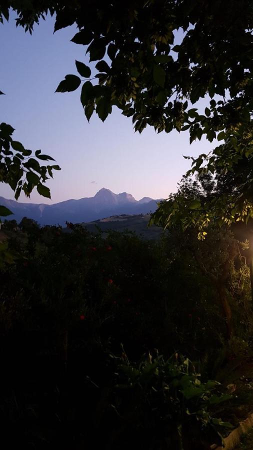 Il Girasole Bed & Breakfast Basciano Luaran gambar