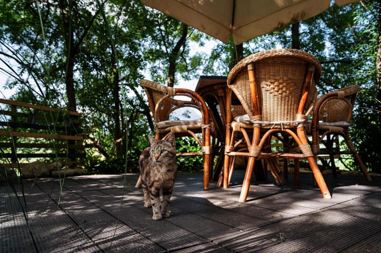 Il Girasole Bed & Breakfast Basciano Luaran gambar
