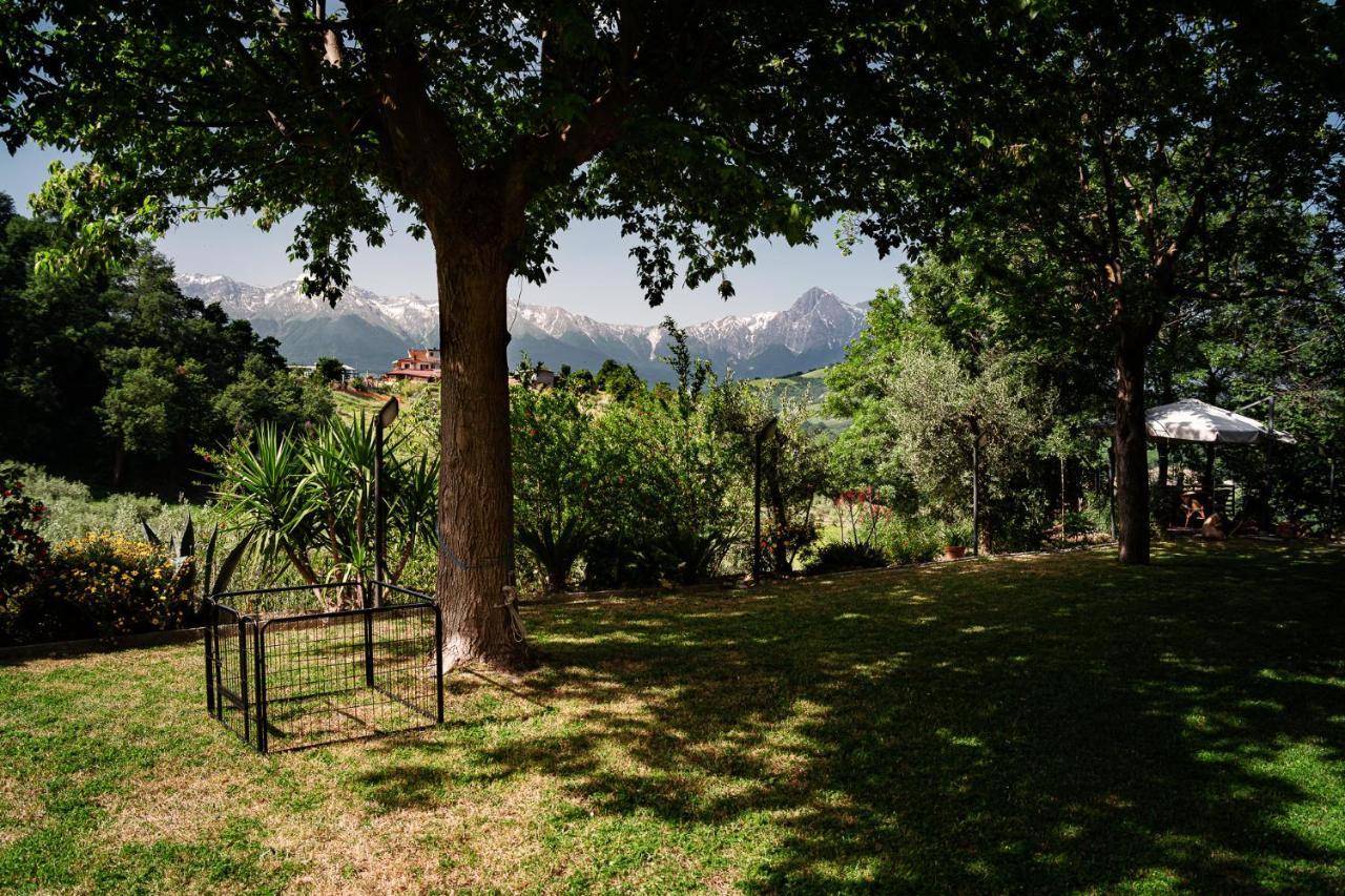 Il Girasole Bed & Breakfast Basciano Luaran gambar