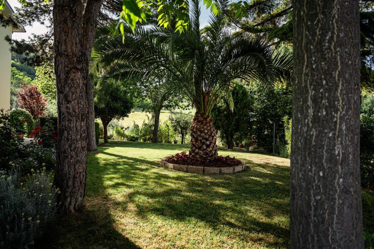 Il Girasole Bed & Breakfast Basciano Luaran gambar