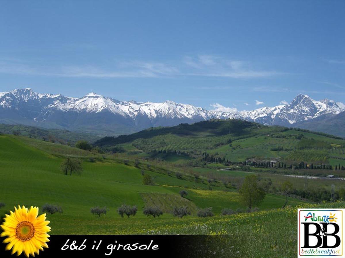 Il Girasole Bed & Breakfast Basciano Luaran gambar