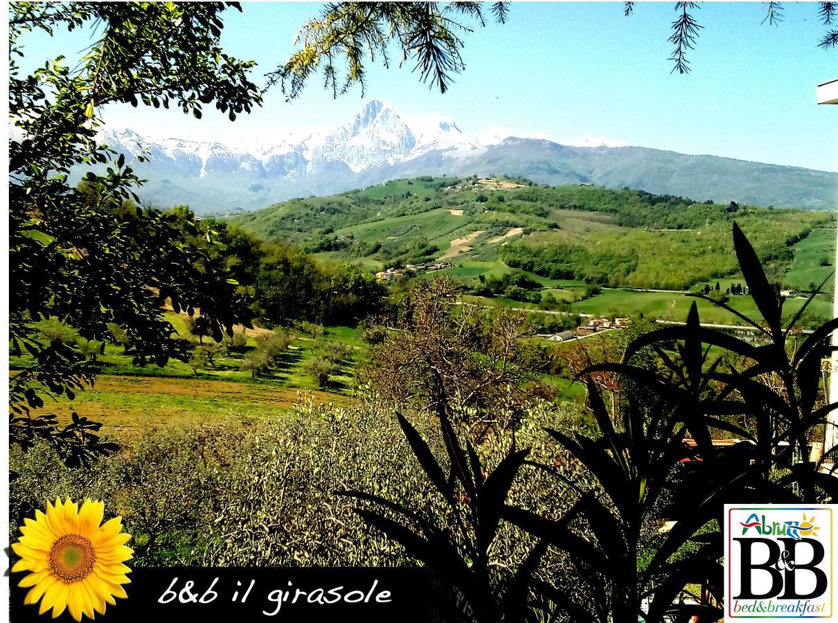 Il Girasole Bed & Breakfast Basciano Luaran gambar